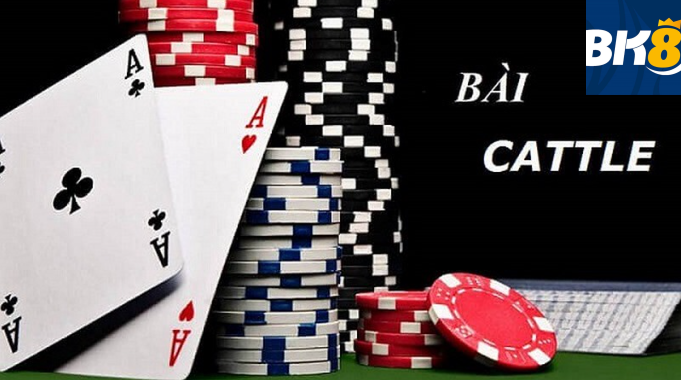 Cách chơi bài Catte